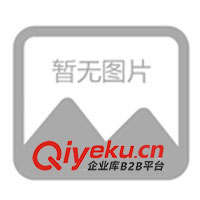 供應(yīng)充電器,鋰電池充電器,鋰離子電池充電器